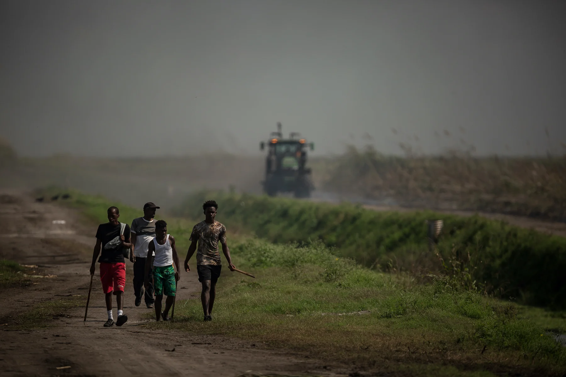 A group of young men walk on a road in front of a sugar cane field, with a tractor driving in the background. The air is hazy with smoke.