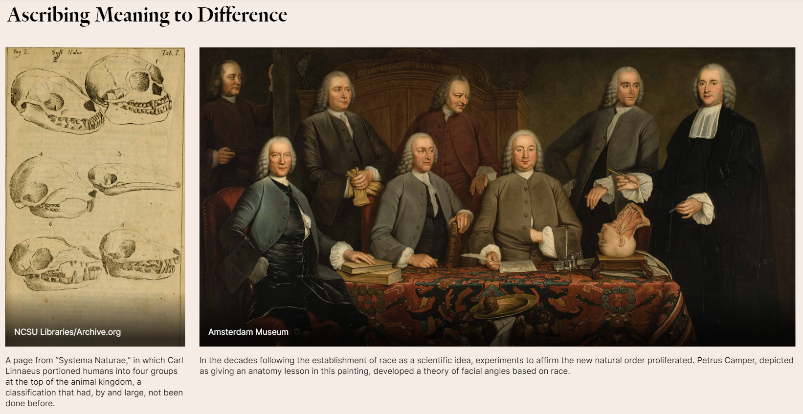 Part one of an image gallery titled, "Ascribing Meaning to Difference." The first image shows diagrams of skulls, by Carl Linnaeus, with clear differences between different "groups" of humans. The second shows a group of white scholars gathered around an ornate table, with a bust of a human head sitting on one side.