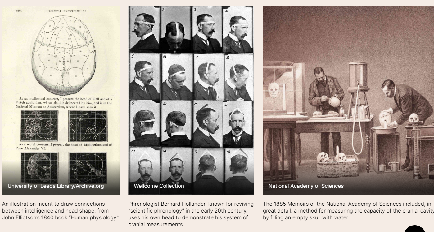Part two of an image gallery titled, "Ascribing Meaning to Difference." The first image is a page from a book about phrenology, showing a diagram of the brain followed by drawings of heads of people with different levels of "intelligence." The second image is a series of photographs by the phrenologist Bernard Hollander, showing how he measures his head to gather data. The third image shows two scientists measuring skulls by filling them with water, then taking the weights.